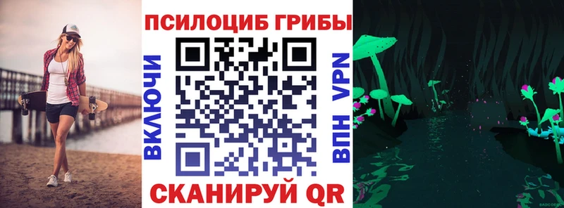 Псилоцибиновые грибы прущие грибы где найти Щёкино